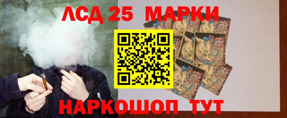 APVP Гатчина