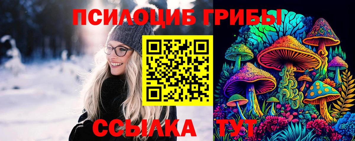 Псилоцибиновые грибы мухоморы  Вход с VPN  Гатчина 