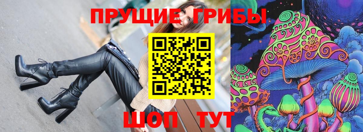 Галлюциногенные грибы Psilocybe Гатчина